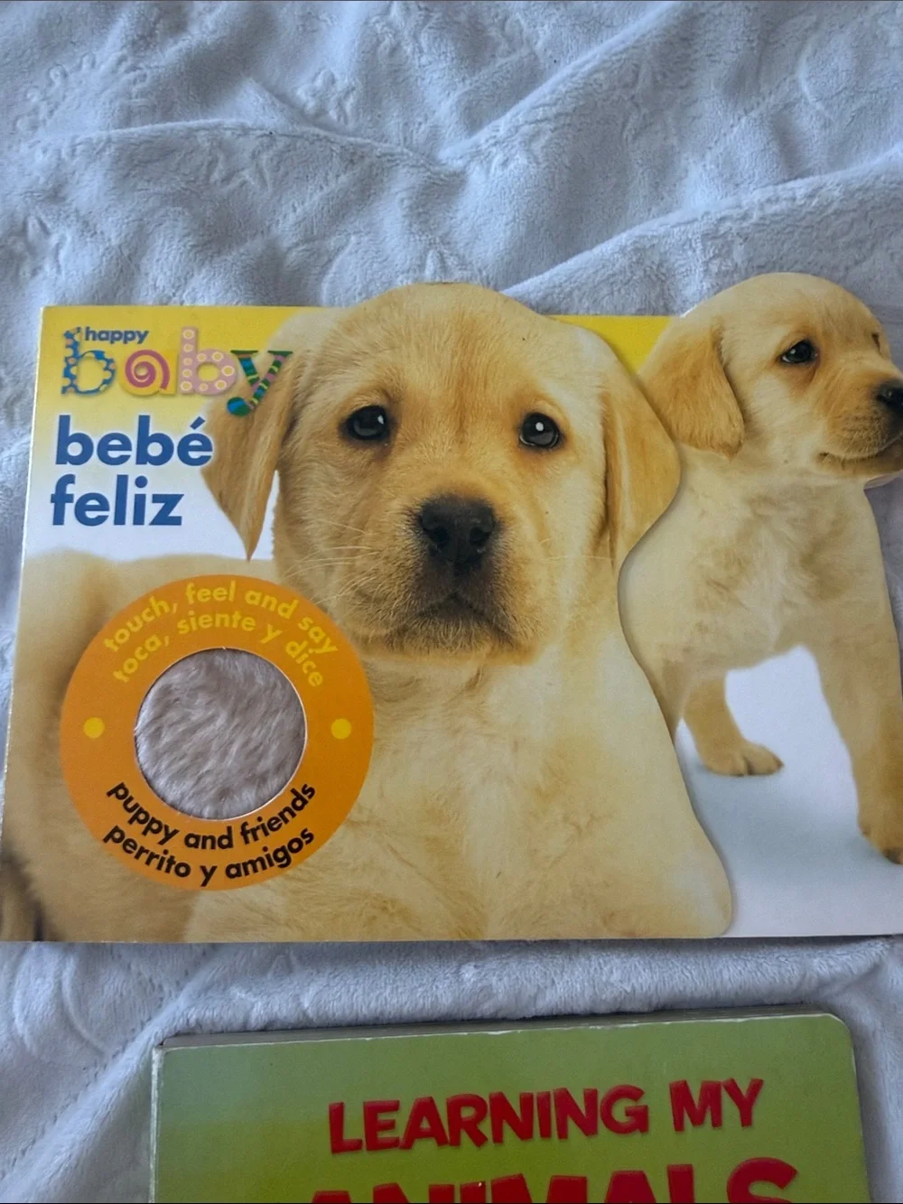 Baby Signs Board Books bundle - Yellow Baby Sign Language Book